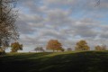 paysage bocager